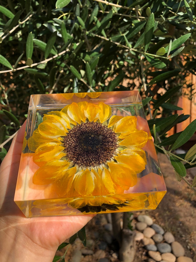 Real Sunflower Block, Resin Paperweight, Sunflower Night Light, Sunflower Ornament, Natural Gift, Gift for Her, Home Decor, Birthday Gift image 9