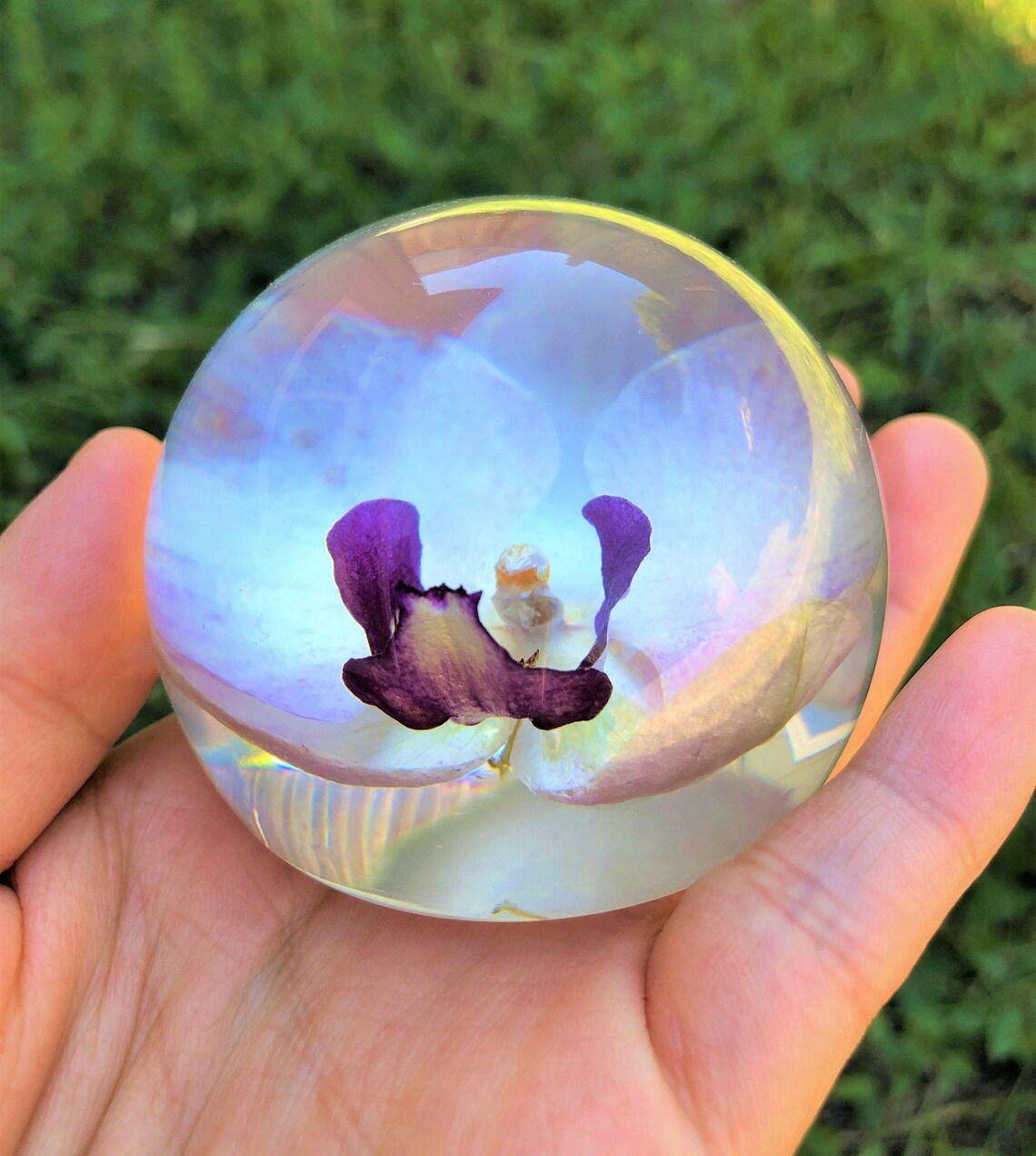 Real Orchid Paperweight Gift for Her Resin Paperweight Etsy