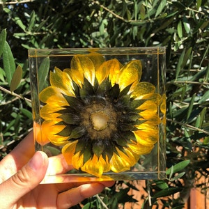 Real Sunflower Block, Resin Paperweight, Sunflower Night Light, Sunflower Ornament, Natural Gift, Gift for Her, Home Decor, Birthday Gift image 10