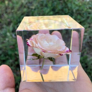 Real Rose Cube, Forever Rose Crystals Keepsake, Resin Paperweight, Gift for Her, Home Decor, Gift for Mom, Romantic Gift