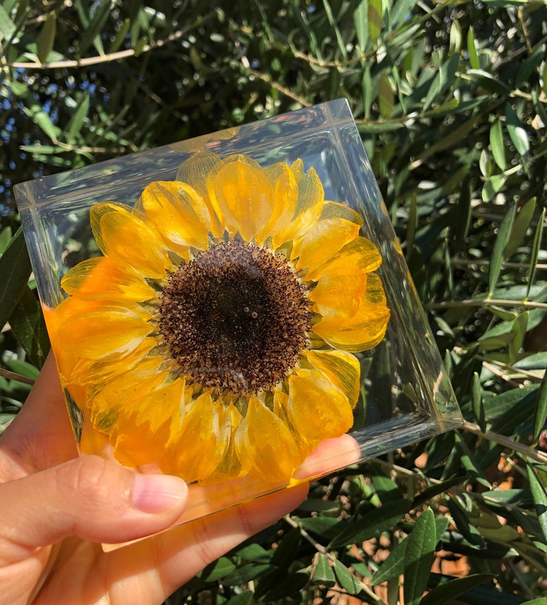 Real Sunflower Block, Resin Paperweight, Sunflower Night Light, Sunflower Ornament, Natural Gift, Gift for Her, Home Decor, Birthday Gift image 7