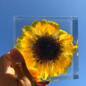 Real Sunflower Block, Resin Paperweight, Sunflower Night Light, Sunflower Ornament, Natural Gift, Gift for Her, Home Decor, Birthday Gift image 6