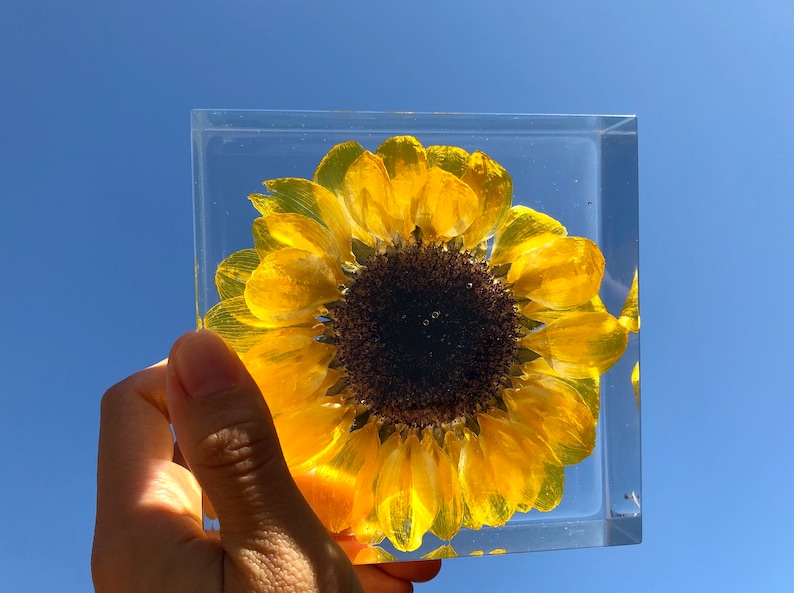 Real Sunflower Block, Resin Paperweight, Sunflower Night Light, Sunflower Ornament, Natural Gift, Gift for Her, Home Decor, Birthday Gift image 6