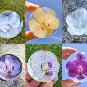 Real Orchid Paperweight, Phalaenopsis Resin Paperweight, Gift for Her, Home Decor, Gift for Mom, Real Flower Gift