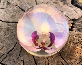 Real Orchid Paperweight, Gift for Her, Resin Paperweight, Unique Gift, Mother's Day Gift, Real Flower Gift - READY TO SHIP