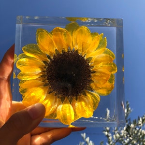 Real Sunflower Block, Resin Paperweight, Sunflower Night Light, Sunflower Ornament, Natural Gift, Gift for Her, Home Decor, Birthday Gift image 8