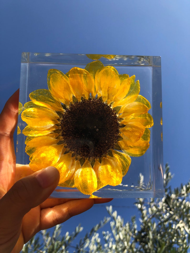 Real Sunflower Block, Resin Paperweight, Sunflower Night Light, Sunflower Ornament, Natural Gift, Gift for Her, Home Decor, Birthday Gift image 8