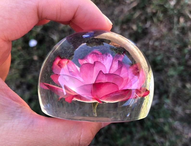 The 5 Best Epoxy Resin Paperweight Reviews in 2022 4