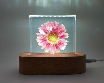 Real Pink Gerbera Resin Block, Flower Night Light, Gerbera Daisy, Resin Paperweight, Friend Gifts, Friend Ornament, Family Ornament