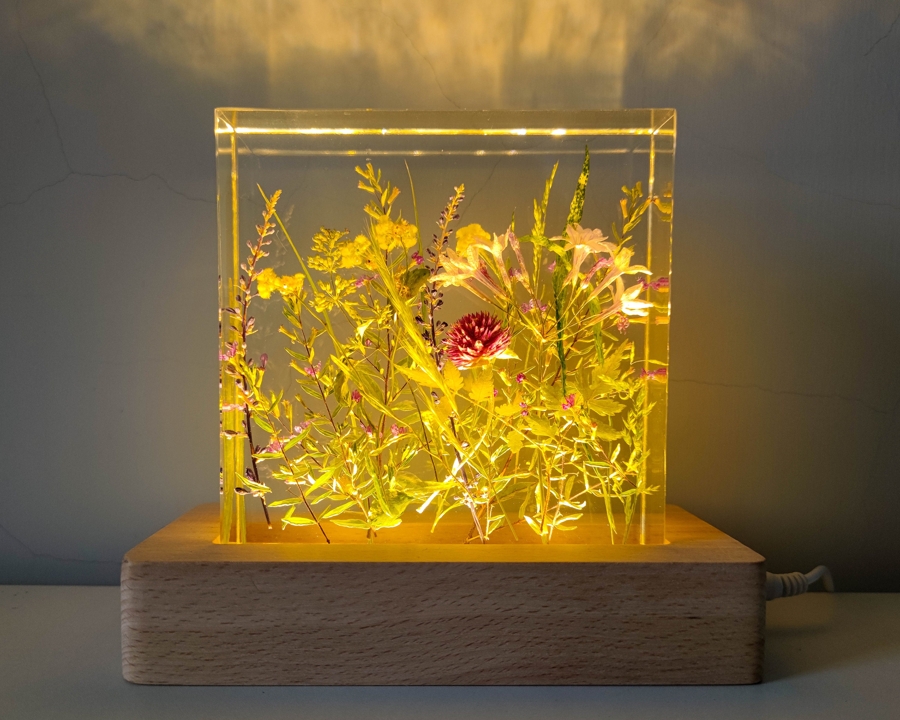 Real Plant Resin Block Resin Handicraft Night Light Resin Etsy