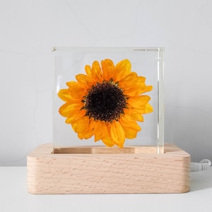 Real Sunflower Block, Resin Paperweight, Sunflower Night Light, Sunflower Ornament, Natural Gift, Gift for Her, Home Decor, Birthday Gift image 3