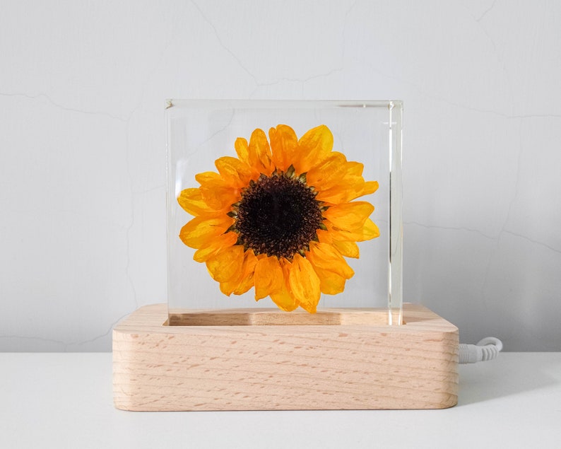 Real Sunflower Block, Resin Paperweight, Sunflower Night Light, Sunflower Ornament, Natural Gift, Gift for Her, Home Decor, Birthday Gift image 3