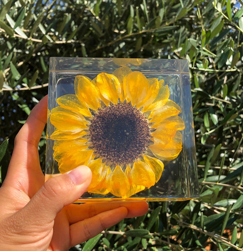 Real Sunflower Block, Resin Paperweight, Sunflower Night Light, Sunflower Ornament, Natural Gift, Gift for Her, Home Decor, Birthday Gift resin block only