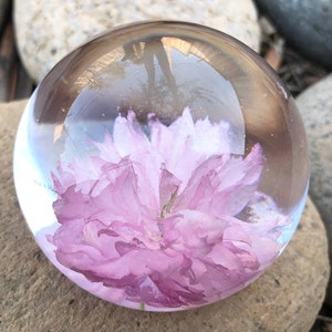 Real Cherry Blossom Paperweight, Gift for Her, Resin Paperweight, Unique Gift, Mother's Day Gift, Real Flower Gift - READY TO SHIP