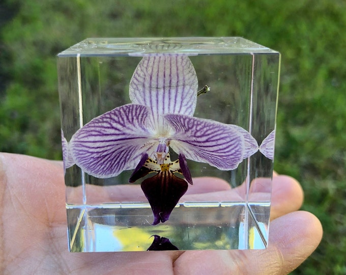 The 5 Best Epoxy Resin Paperweight Reviews in 2022 5