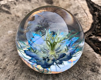 Nigella Flower Paperweight, Love In A Mist, Romantic Gift, Resin Paperweight, Home Decor, Mother's Day Gift,Real Flower Gift