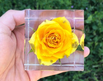 Real Yellow Rose Cube, Forever Rose Crystals Keepsake, Resin Paperweight, Home Decor, Gift for Mom, Friendship Gift