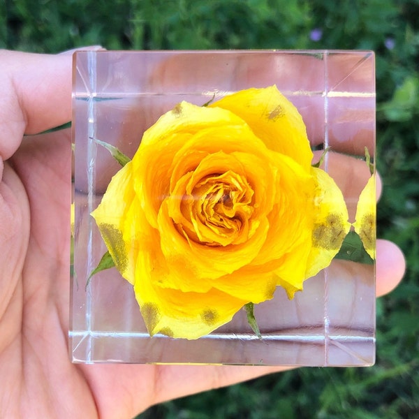 Cube de roses jaunes véritables, souvenir de cristaux de rose pour toujours, presse-papiers en résine, décoration d'intérieur, cadeau pour maman, cadeau d'amitié