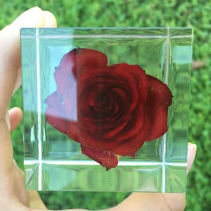 Real Red Rose Cube, Forever Rose Crystals Keepsake, Resin Paperweight, Gift for Her, Home Decor, Gift for Mom, Romantic Gift