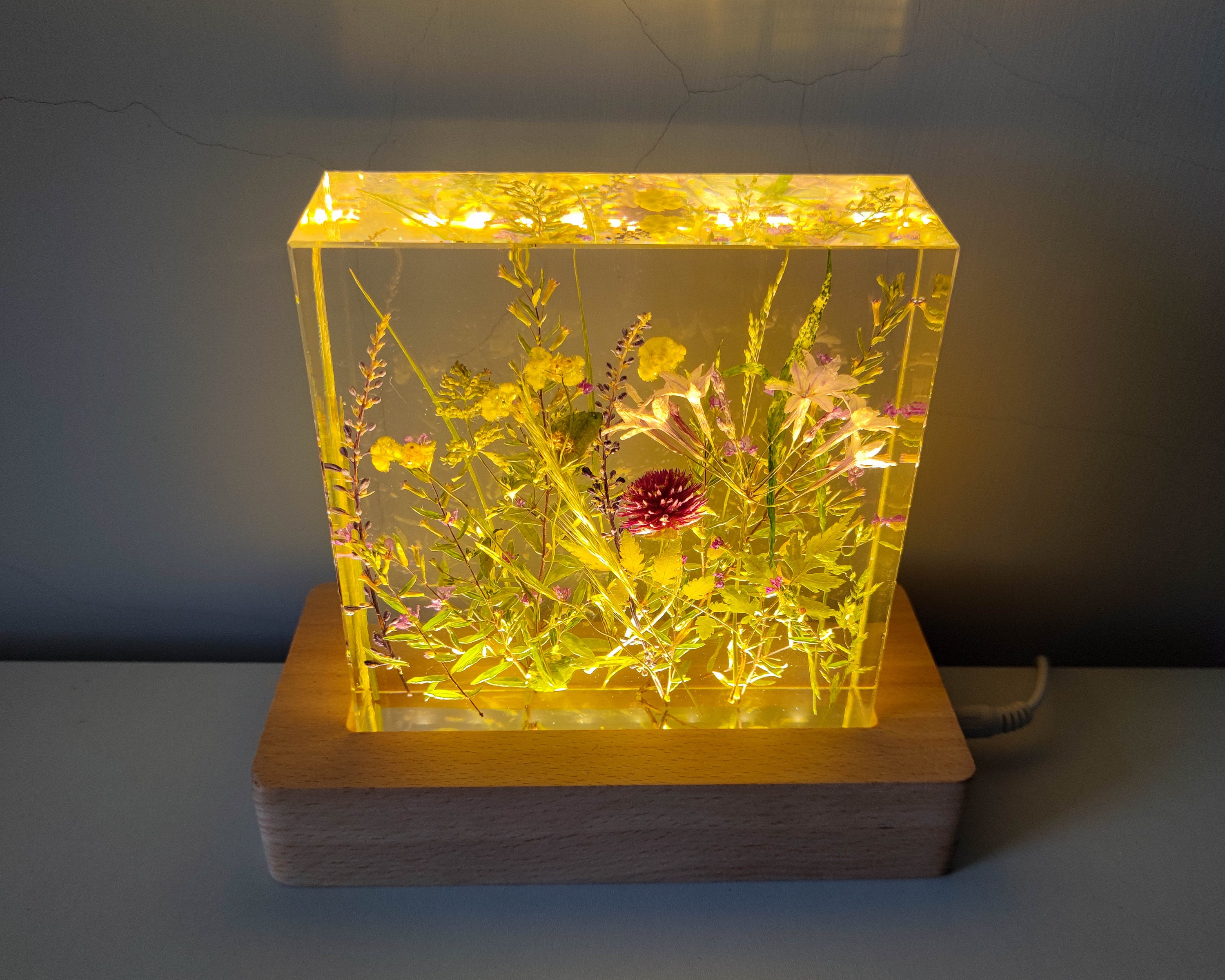 Real Plant Resin Block Resin Handicraft Night Light Resin Etsy