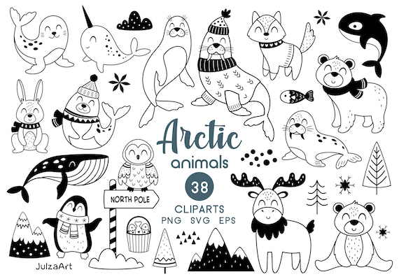 Coloriages Animaux De L'antarctique