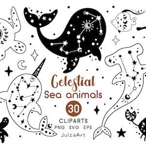 Animales del océano svg, Animales marinos celestiales clipart, Vida marina svg, Náutico png, Clipart de verano, Svg marino, Descarga digital, Uso comercial