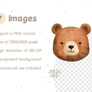 May include: Watercolor illustration of a brown bear face with a black nose and small eyes. The image includes text that reads "7 Images", and details about the clipart, including PNG format, 3000x3000 pixels, 300 DPI, transparent background, and commercial use.