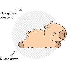 May include: A cartoon illustration of a light brown capybara lying down with closed eyes. The image has a transparent background and the text "PNG Transparent background" and "100% Hand drawn".