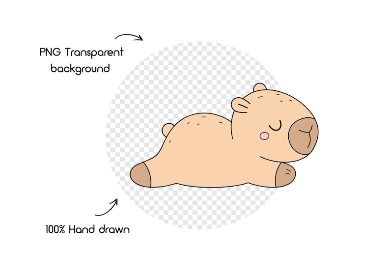 May include: A cartoon illustration of a light brown capybara lying down with closed eyes. The image has a transparent background and the text "PNG Transparent background" and "100% Hand drawn".