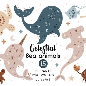 Animali dell'oceano svg, Animali marini celesti clipart, Vita marina svg, Png nautico, Clipart estivo, Stampa boho, Download digitale, Uso commerciale