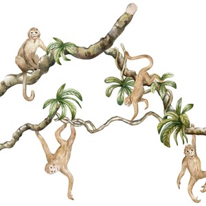 Pegatinas de pared de mono, calcomanía de pared de Safari, calcomanía de pared de la selva, calcomanía de mono, decoración de vivero de Safari, calcomanías de pared para niños imagen 6