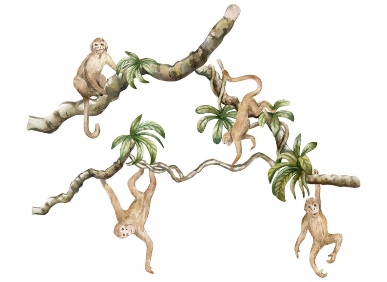 Pegatinas de pared de mono, calcomanía de pared de Safari, calcomanía de pared de la selva, calcomanía de mono, decoración de vivero de Safari, calcomanías de pared para niños imagen 6