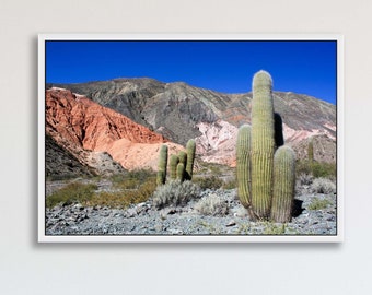 Nord de l'Argentine, Jujuy, photographie de voyage, photographie de paysage, impression de désert, ciel bleu, art mural, décor à la maison, impression horizontale