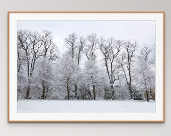 Snow covered trees Waterlow Park Highgate, snowy London England winter landscape photography wall art home decor horizontal print monochrome