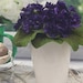 see more listings in the FAUX FLOWERS & PLANTS section