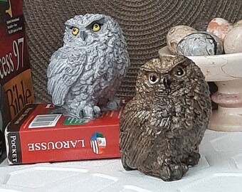 May include: Two owl figurines, one gray and one brown, are sitting on a red book with the word "LAROUSSE" printed on it. The book is on a white surface with a circular pattern.