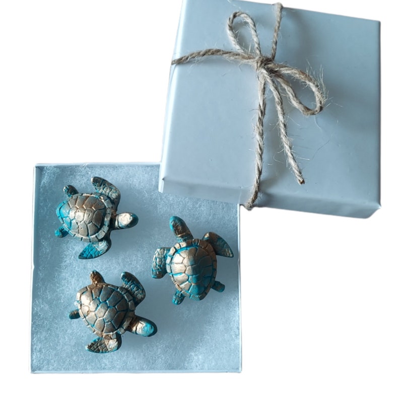 Miniature Turtles - Etsy