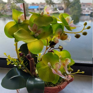 8 Silk Butterfly Orchid. Orchid Bonsai In Boat Design Ceramic Pots, Available in 3 colors: Light Beauty, Green and White. image 9