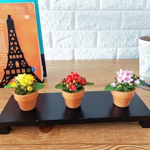 May include: Three small potted plants with colorful flowers. The plants are arranged on a black shelf with a black metal Eiffel Tower cutout behind them.