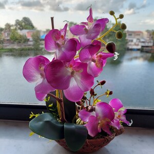 8 Silk Butterfly Orchid. Orchid Bonsai In Boat Design Ceramic Pots, Available in 3 colors: Light Beauty, Green and White. image 8