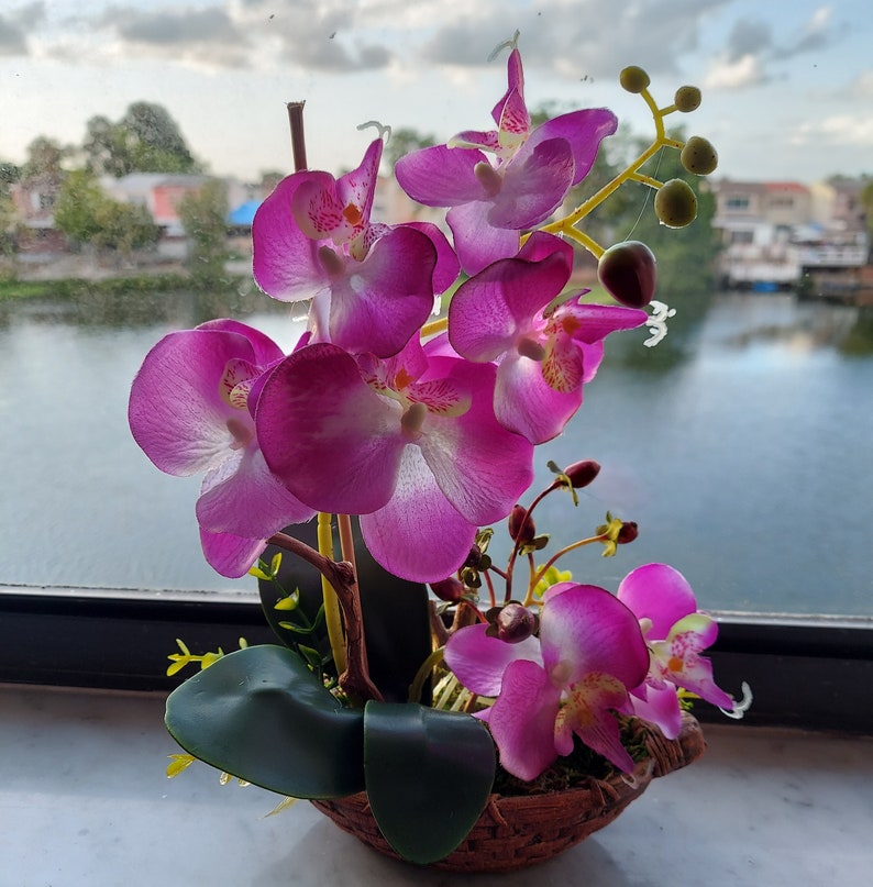 8 Silk Butterfly Orchid. Orchid Bonsai In Boat Design Ceramic Pots, Available in 3 colors: Light Beauty, Green and White. image 8