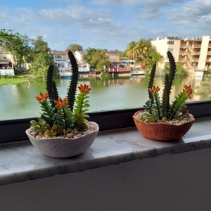 May include: Two small potted succulent plants with orange flowers in white and brown ceramic pots. The pots are sitting on a windowsill with a view of a lake and buildings in the background.
