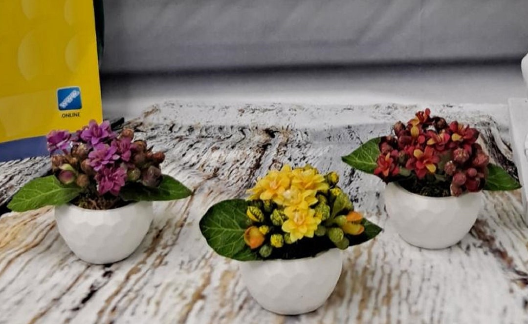 Set of 3 Tiny Blooming Silk Kalanchoe Plants in Geometric Etsy