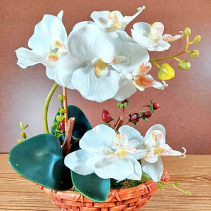 8 Silk Butterfly Orchid. Orchid Bonsai In Boat Design Ceramic Pots, Available in 3 colors: Light Beauty, Green and White. White Orchid