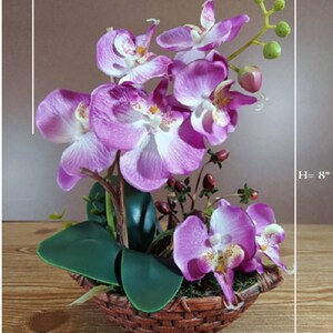 8 Silk Butterfly Orchid. Orchid Bonsai In Boat Design Ceramic Pots, Available in 3 colors: Light Beauty, Green and White. image 7