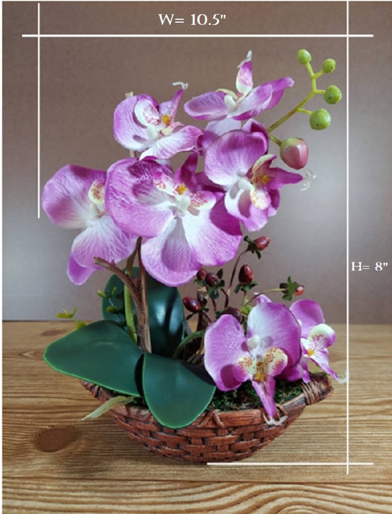 8 Silk Butterfly Orchid. Orchid Bonsai In Boat Design Ceramic Pots, Available in 3 colors: Light Beauty, Green and White. image 7