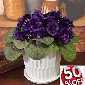 Pianta di violetta africana Real Touch in vaso di ceramica bianca lucida, pianta artificiale con fiori in vaso.