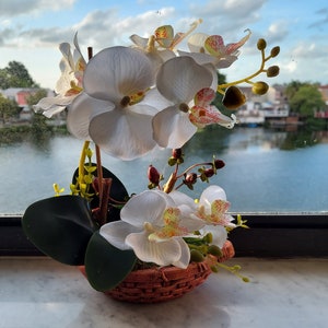 8 Silk Butterfly Orchid. Orchid Bonsai In Boat Design Ceramic Pots, Available in 3 colors: Light Beauty, Green and White. image 1