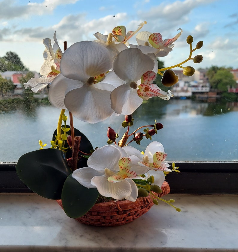 8 Silk Butterfly Orchid. Orchid Bonsai In Boat Design Ceramic Pots, Available in 3 colors: Light Beauty, Green and White. image 1