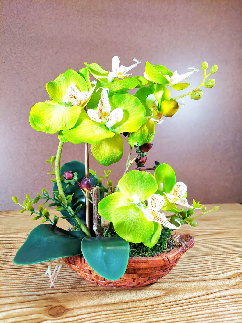 8 Silk Butterfly Orchid. Orchid Bonsai In Boat Design Ceramic Pots, Available in 3 colors: Light Beauty, Green and White. Green Orchid